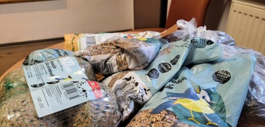 Karmniki za ziarno. Szczecin dokarmia ptaki