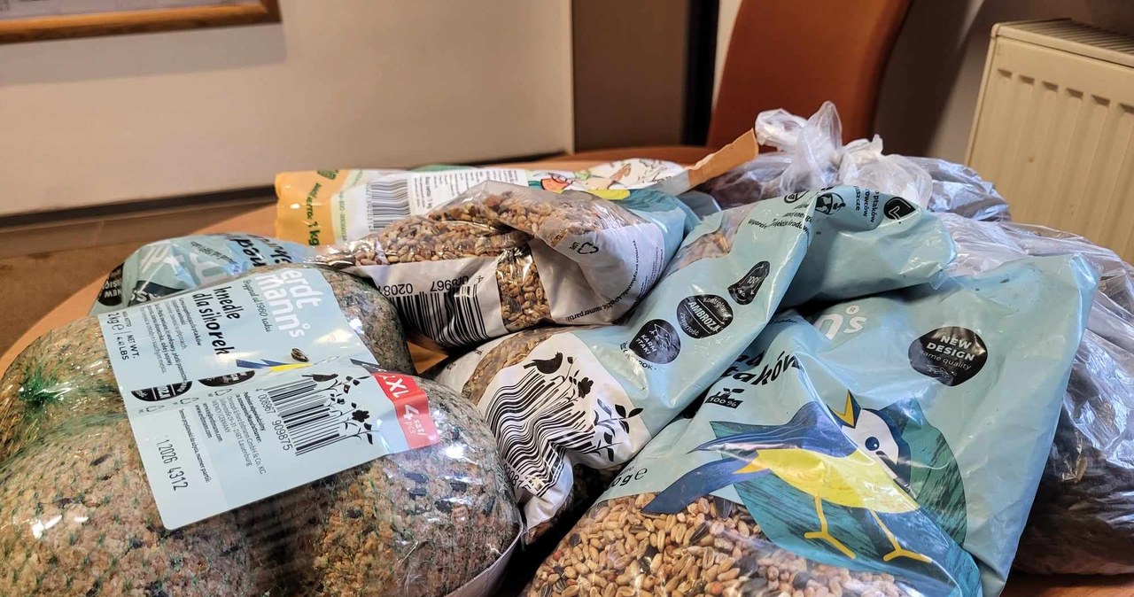 Karmniki za ziarno. Szczecin dokarmia ptaki