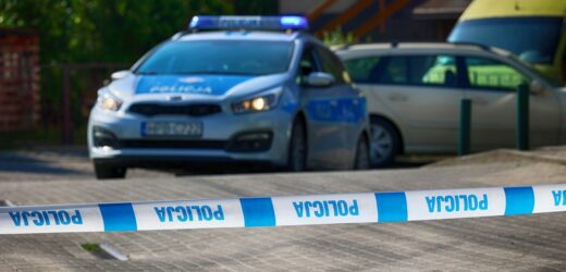 Brutalne zabójstwo na warszawskim Nowym Świecie. Dawid M. jest już w Polsce