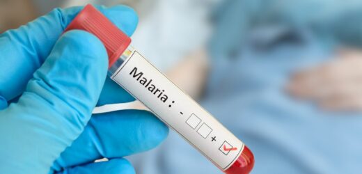 Pierwszy przypadek malarii w powiecie mławskim