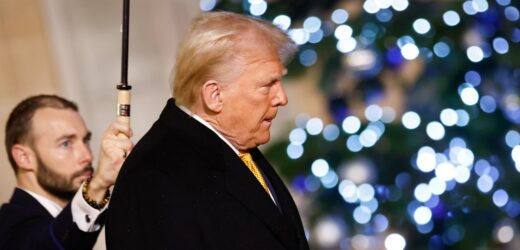 „WSJ”: Trump chce, by europejskie wojska monitorowały rozejm na Ukrainie