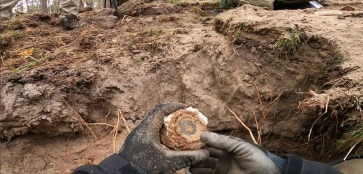 Enigma na Wyspie Sobieszewskiej. Zaskakujące odkrycie