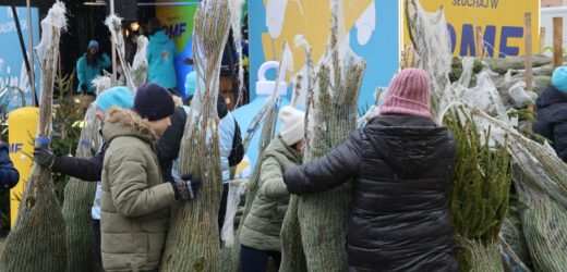 „Choinki pod choinkę od RMF FM i Małopolski”. Dziś finał akcji w Krakowie