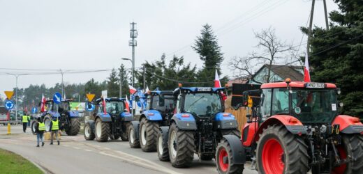 Polska prezydencja w UE wpłynie na Zielony Ład? Siekierski: Będziemy go upraszczać