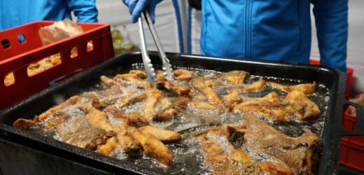 Przedświąteczny karp dla Krakowa. Finał akcji