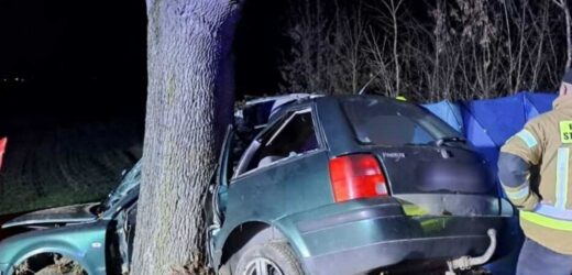 Kobieta nie żyje, dziecko w szpitalu. Kolejny dramat w Lubelskiem