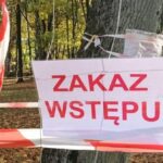 Ziemia zapadła się w Bolesławiu