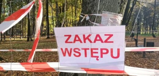Ziemia zapadła się w Bolesławiu