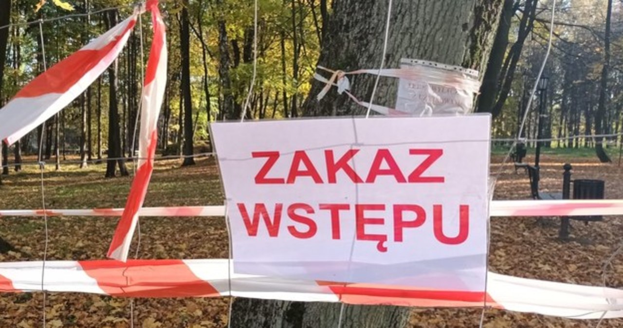 Ziemia zapadła się w Bolesławiu