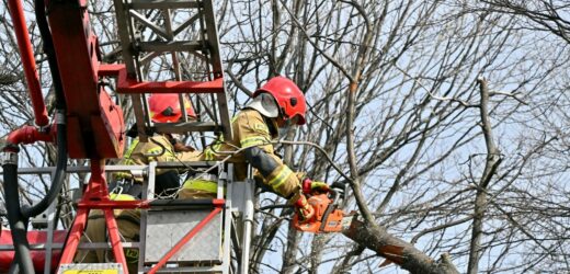Uwaga na wichury. Coraz więcej interwencji strażaków na Pomorzu