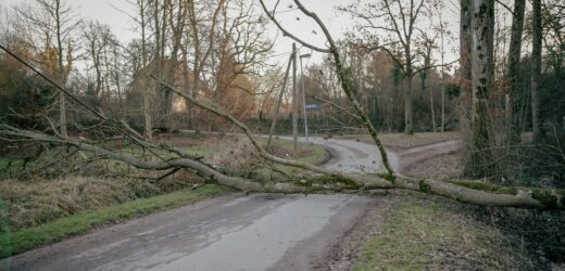 Uszkodzone dachy, powalone drzewa. Wichura w Lubelskiem