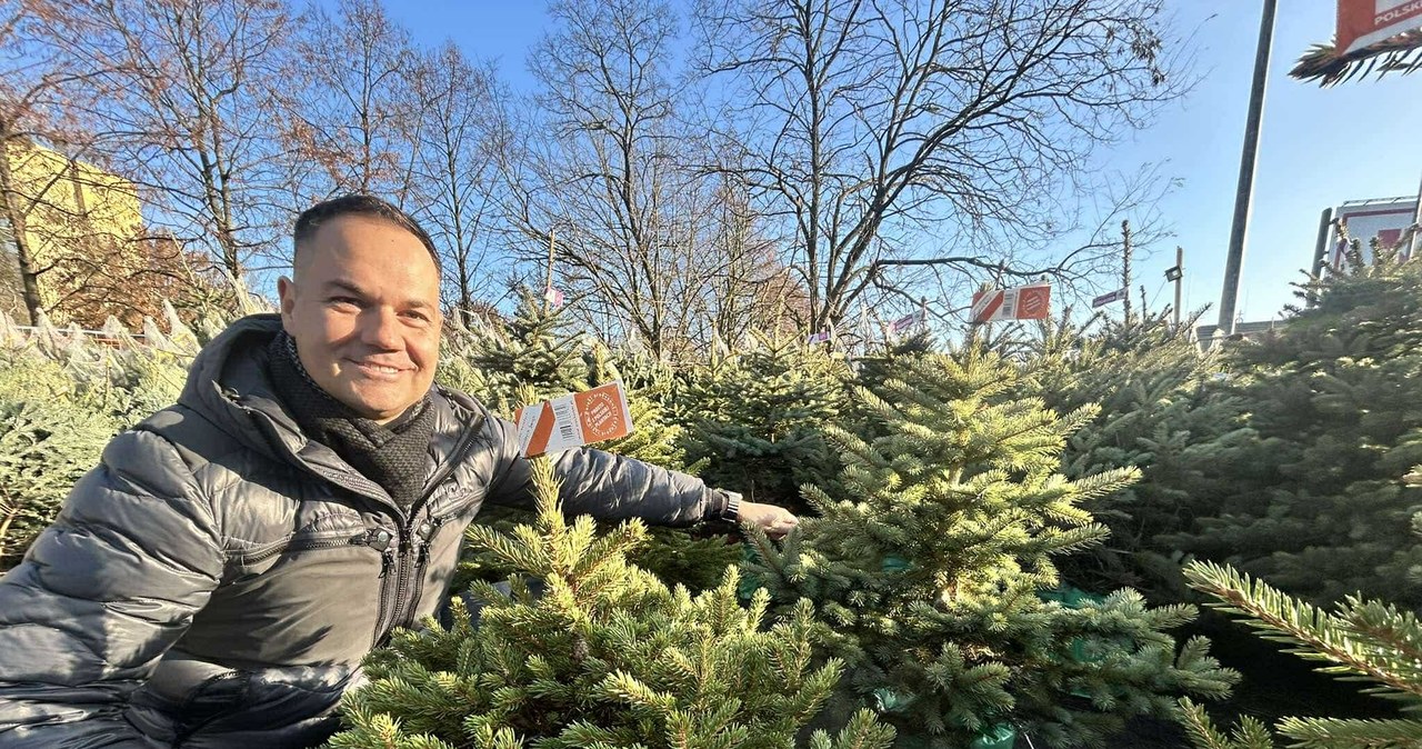 Jak wybrać choinkę? Mamy porady wprost z największej plantacji w Polsce!