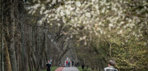 Zabójstwo w parku na Zdrowiu w Łodzi. Umorzono śledztwo, sprawca wciąż nieznany