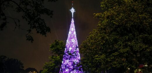 Jedna osoba nie żyje, dwie są ranne. Wiatr przewrócił potężną choinkę