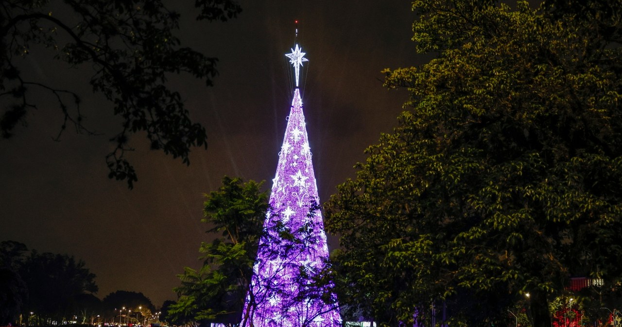 Jedna osoba nie żyje, dwie są ranne. Wiatr przewrócił potężną choinkę