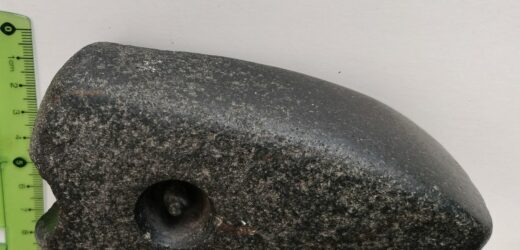 Neolityczny topór, narzędzia i ozdoby. Archeologiczne odkrycia koło Tomaszowa Lubelskiego