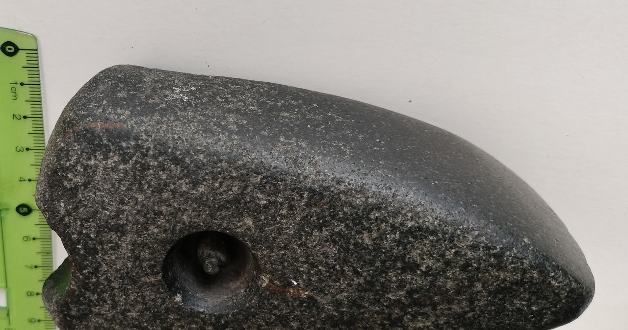 Neolityczny topór, narzędzia i ozdoby. Archeologiczne odkrycia koło Tomaszowa Lubelskiego