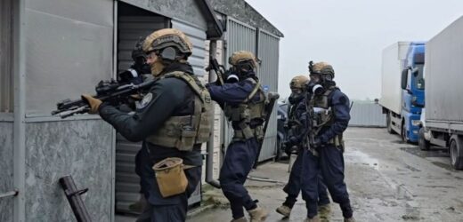 Potężne uderzenie w narkobiznes. Służby przejęły narkotyki o wartości ok. 70 mln zł