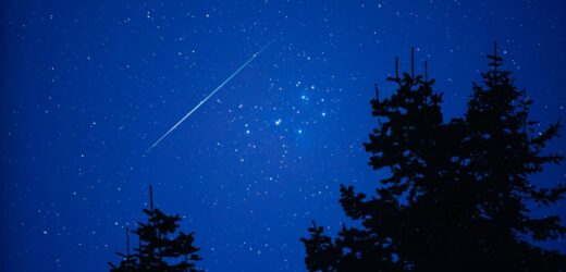 Już dziś początek astronomicznej zimy