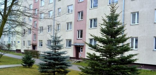 Czy święta będą białe? Wyjaśnia synoptyk IMGW