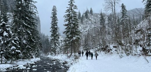 Wigilia w górskim schronisku. Magia świąt blisko natury