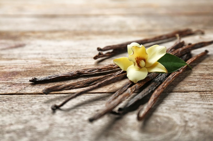 Nieoceniony skarb z Madagaskaru. Wanilia Bourbon podbija kuchenny świat