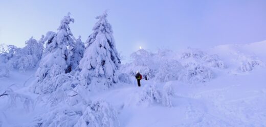 ​Turysta z urazem pachwiny utknął na zamkniętym szlaku na Babią Górę