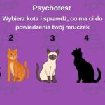 Świąteczny psychotest: Co ma ci do powiedzenia twój kot?