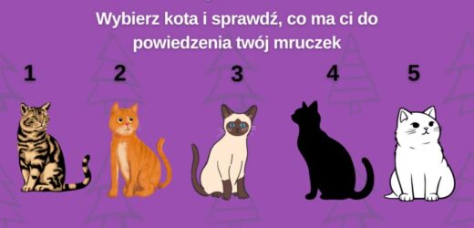 Świąteczny psychotest: Co ma ci do powiedzenia twój kot?