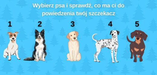 Psychotest: Co by powiedział twój pies, gdyby przemówił ludzkim głosem?