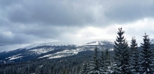 Gortych: Karkonosze są doskonałą areną do rozgrywania akcji kryminałów