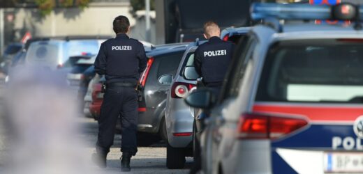 Ponad 4 tony nielegalnych fajerwerków z Polski skonfiskowano w Hanowerze