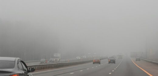 W nocy marznące opady i gęste mgły. Ostrzeżenia IMGW