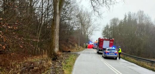 Tragiczny wypadek w Pomorskiem. Auto uderzyło w drzewo, 2 osoby nie żyją