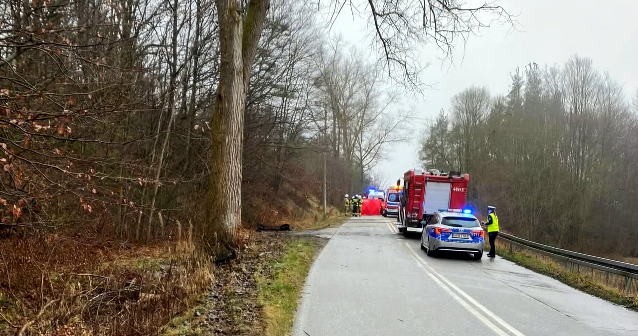 Tragiczny wypadek w Pomorskiem. Auto uderzyło w drzewo, 2 osoby nie żyją