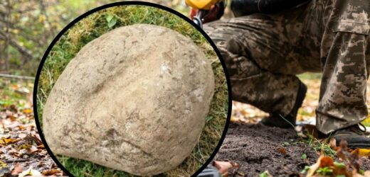 „Kamień sromu”. Zaskakujące odkrycie w wikińskim grobowcu