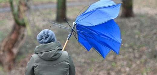 Porywy do 85 km/h. IMGW ostrzega przed silnym wiatrem