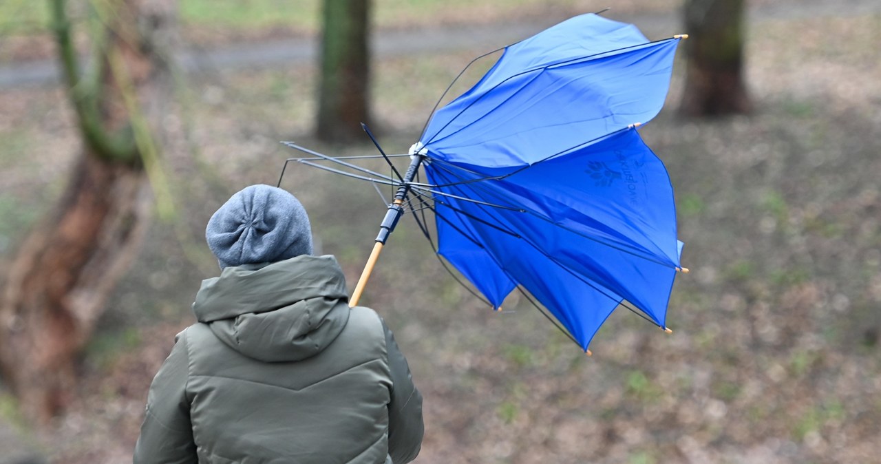 Porywy do 85 km/h. IMGW ostrzega przed silnym wiatrem