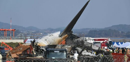 Katastrofa samolotu w Korei Płd. Pilot informował o zderzeniu z ptakiem