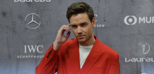 Śmierć Liama Payne’a. Pięć osób z zarzutami