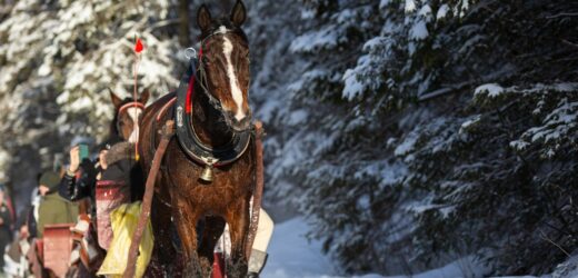 Widać zimę. Najnowsza prognoza pogody na pierwsze dni nowego roku