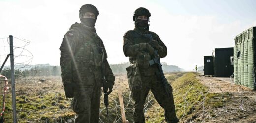 23 tys. nowych żołnierzy i szansa dla młodzieży z OHP. Plany MON na 2025 rok