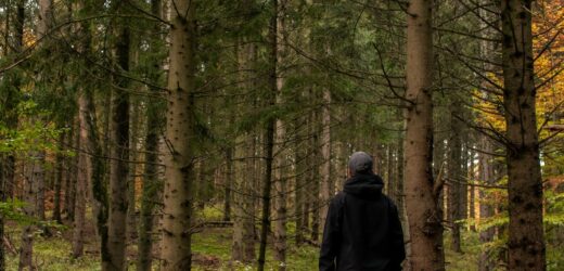 Zboczył z górskiego szlaku. Wyziębionego 56-latka znaleźli policjanci