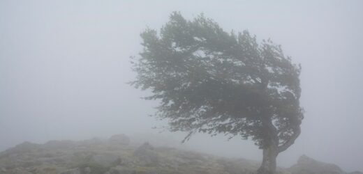 Uwaga na silny wiatr! Jest alert RCB