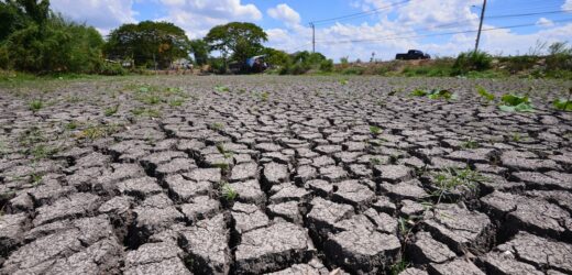 Rok 2024 najcieplejszy w historii. Klimatolog ostrzega przed poważną suszą w Polsce