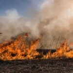 Pożar w Małopolsce. Spłonęło pół hektara traw