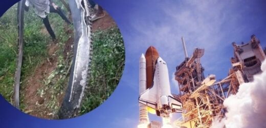 ​Na wioskę spadło pół tony śmieci z kosmosu