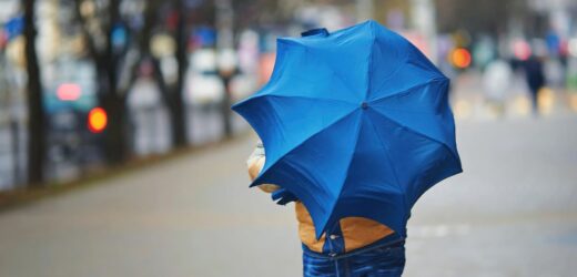 Uwaga na silny wiatr. Ostrzeżenia dla niemal całego kraju