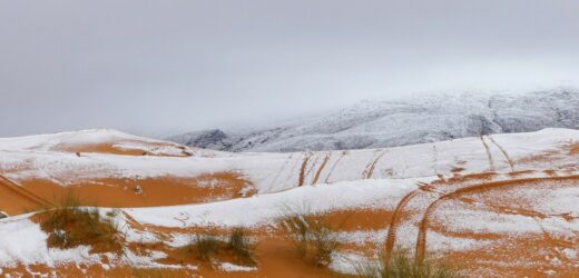 To jedno z najcieplejszych miejsc na Ziemi. Na Saharze spadł śnieg