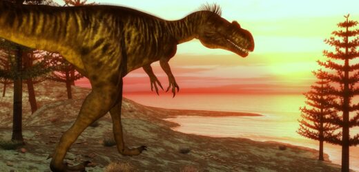 Odkryto największe ślady dinozaura w Wielkiej Brytanii